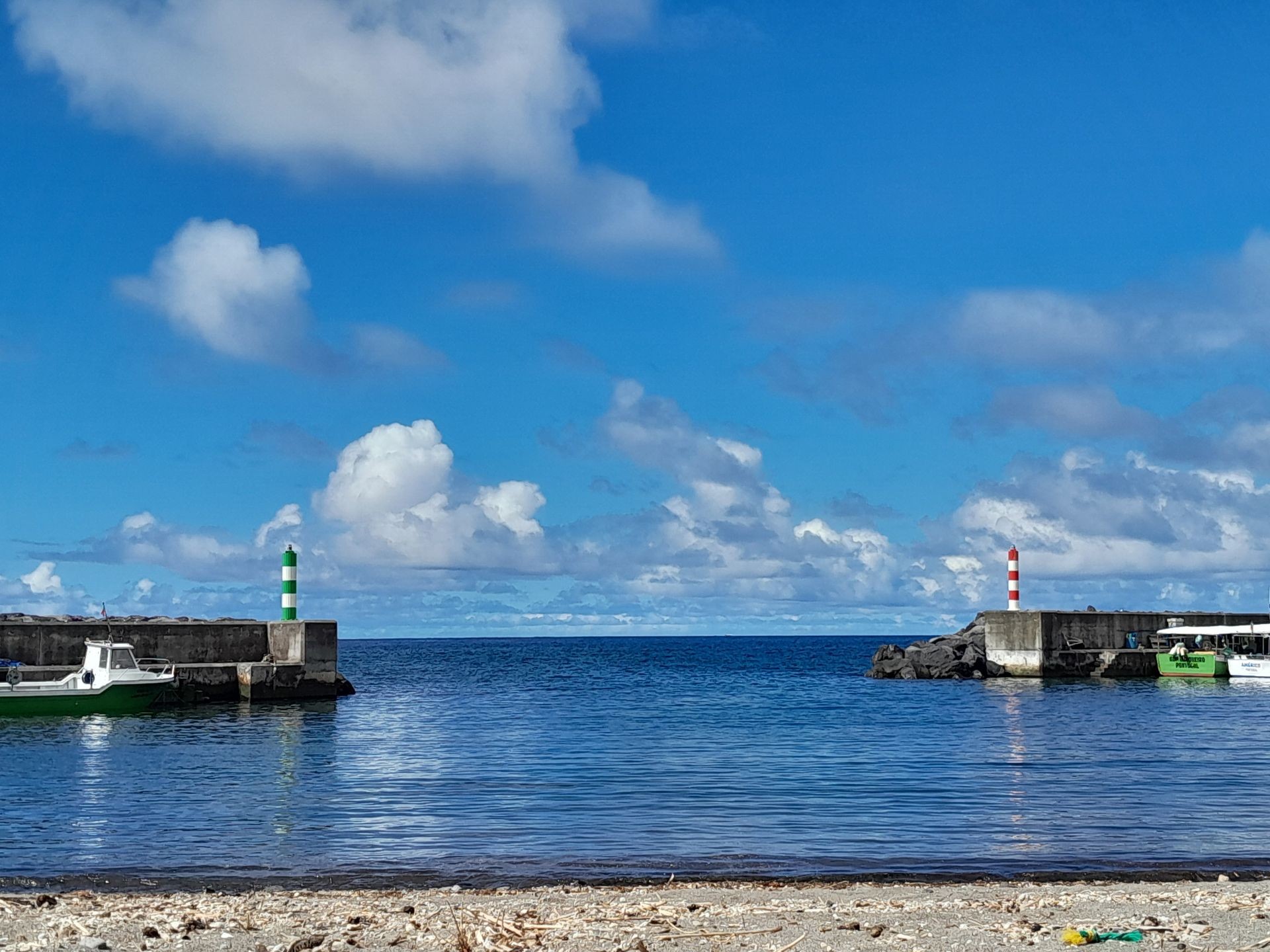 Coastline boat tours 