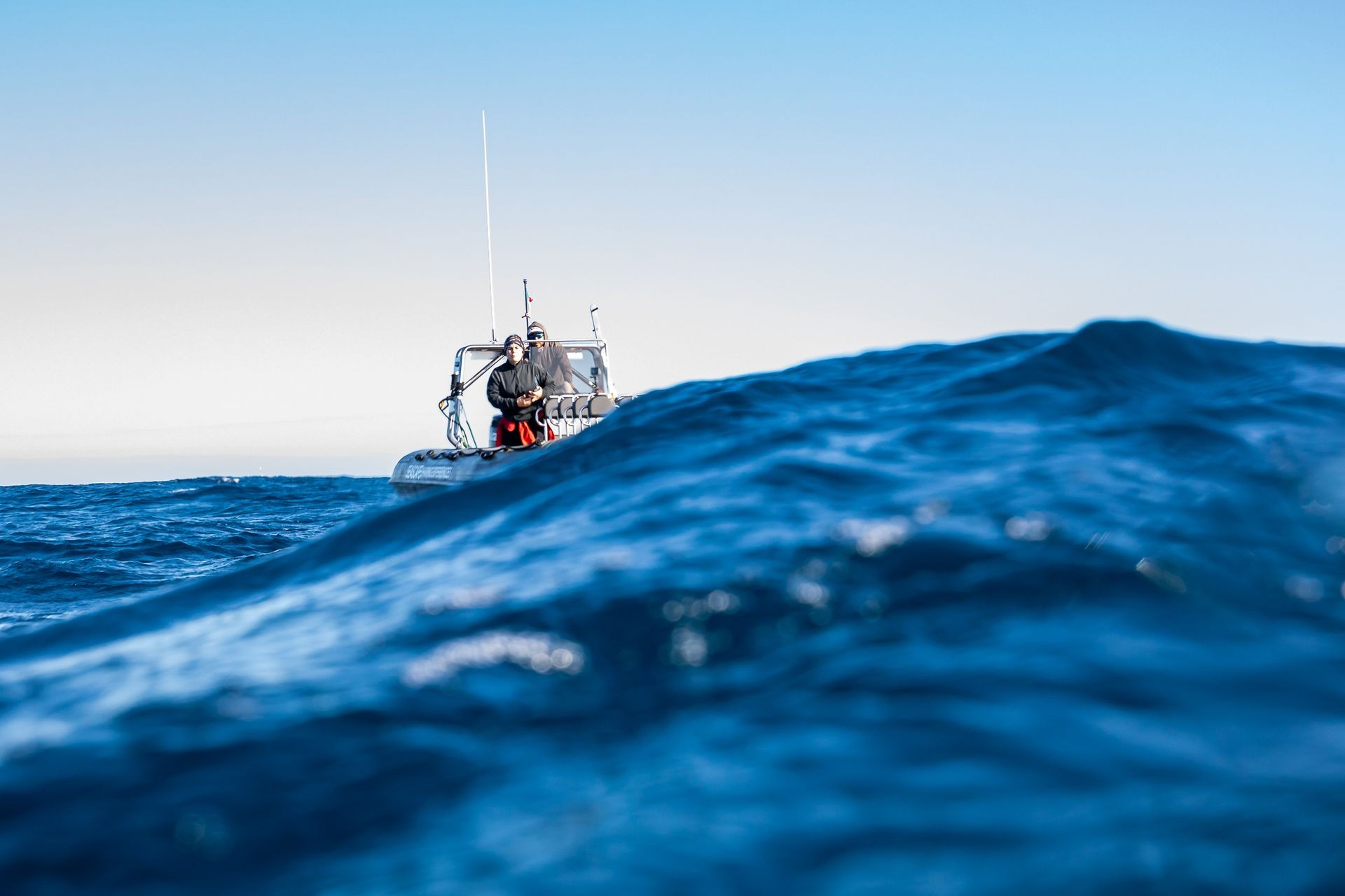 Ocean Expeditions